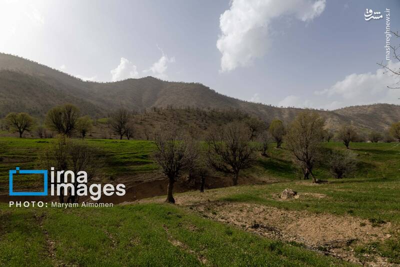 عکس/ در جستوجوی خلبان آمریکایی