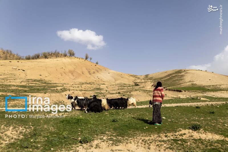 عکس/ در جست‌وجوی خلبان آمریکایی