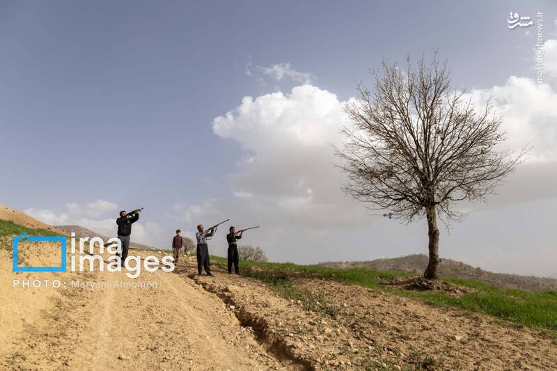 عکس/ در جست‌وجوی خلبان آمریکایی