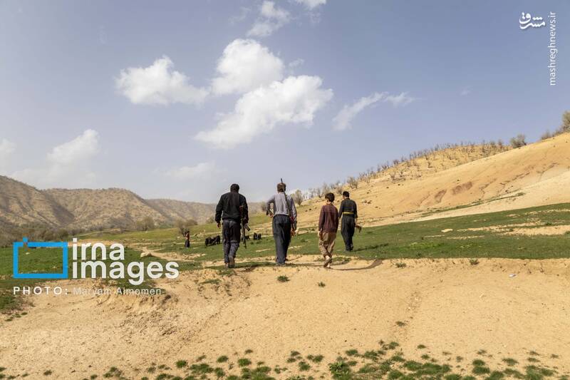 عکس/ در جست‌وجوی خلبان آمریکایی
