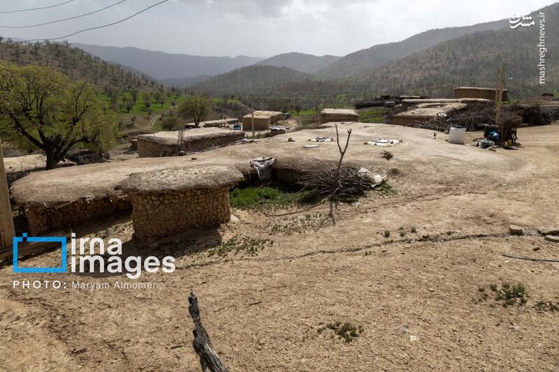 عکس/ در جستوجوی خلبان آمریکایی
