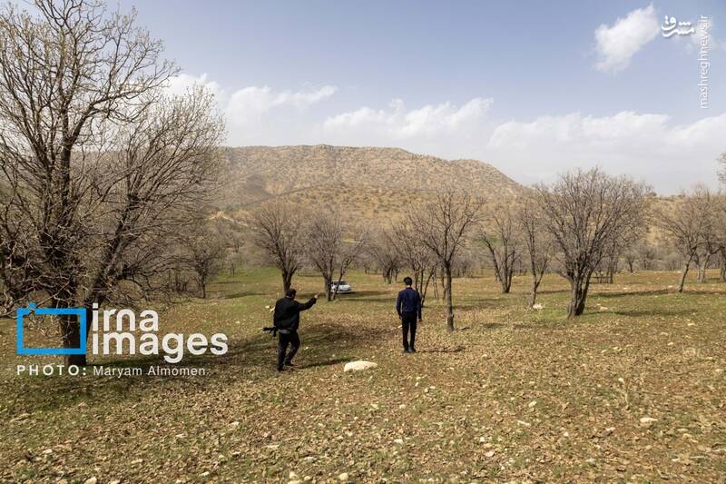 عکس/ در جست‌وجوی خلبان آمریکایی