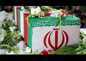 شهادت شهروند هرندی در تجاوز آمریکایی صهیونی