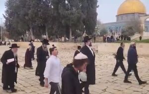 تعرض شهرک‌نشینان صهیونیست به مسجد الاقصی