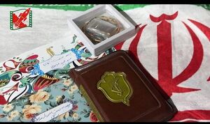 عکس/ هدیه بانوی اهل رفسنجان برای فرمانده هوافضا