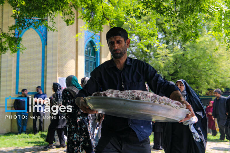 عکس/ عید مردگان در مازندران