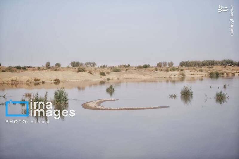 عکس/ ورودی آب به منطقه سیستان پس از سالها خشکسالی