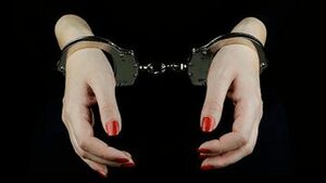 پلیس: این زن خواستار حمله دشمن به کشور بود+ فیلم