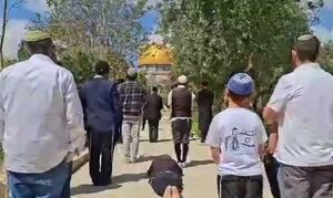 تعرض شهرک‌نشینان صهیونیست به مسجد الاقصی