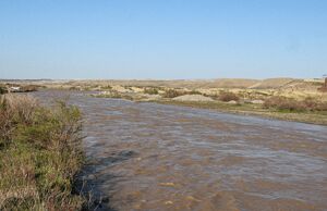 عکس/ قزل‌اوزن جان تازه گرفت