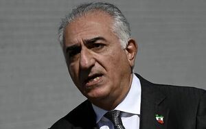 فیلم/ استقبال از ربع پهلوی با سس گوجه فرنگی در آلمان!
