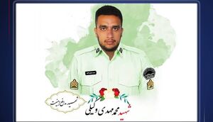 حکم قصاص قاتل شهادت مامور نیروی انتظامی در چهارباغ اجرا شد 