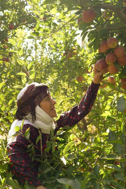 «ساعت ۲۵» با موضوع موسیقی به تلویزیون بازگشت/ آغاز پخش سریال «مادران» از جمعه