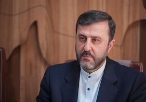 غریب آبادی: غزه آزمون پایبندی دولت‌ها به اصول انسانی است