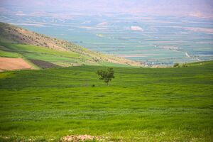 عکس/ طبیعت اردیبهشتی خراسان شمالی