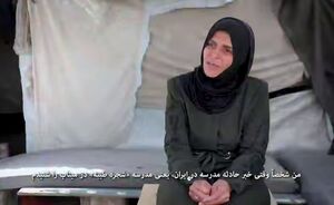 فیلم/ هم‌دردی مادر شهید غزه با مادران شهدای میناب