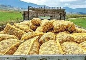 جهش ۷۰۰ درصدی قیمت سیب‌زمینی در اروپا با بحران تنگه هرمز