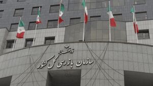 هشدار سازمان بازرسی درباره شاد