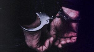 بازداشت مدیرعامل یک مؤسسه مالی با ۱۳ هزار شاکی