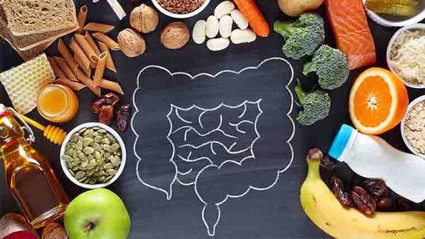 فصل،تابستان،مصرف،طبع،گرم،هضم،و…،گوارش،گوشت،تغذيه