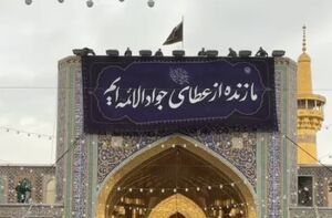فیلم/ نصب کتیبه شهادت ابن الرضا(ع) در حرم رضوی