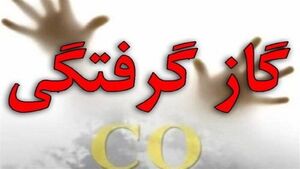 مرگ ۸۳۱ نفر بر اثر گاز منوکسیدکربن در سال ۱۴۰۴