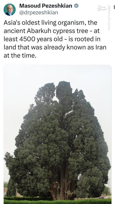پزشکیان: سرو ۴۵۰۰ سالهٔ ابرکوه ریشه در ایرانِ کهن دارد
