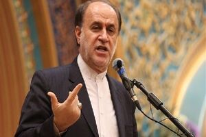حاجی‌بابایی: مجلس موافق افزایش اعتبار کالابرگ الکترونیکی است