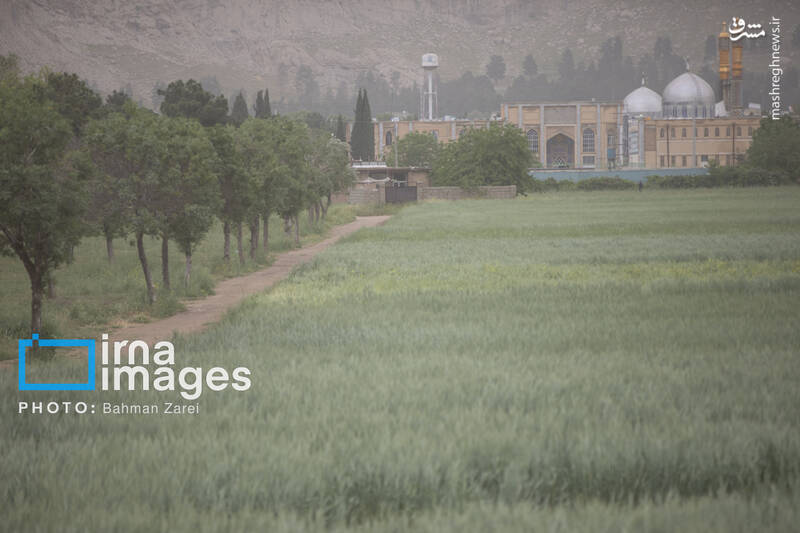 عکس/ ریزگردها و باد شدید در کرمانشاه