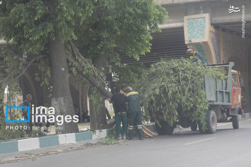 عکس/ ریزگردها و باد شدید در کرمانشاه