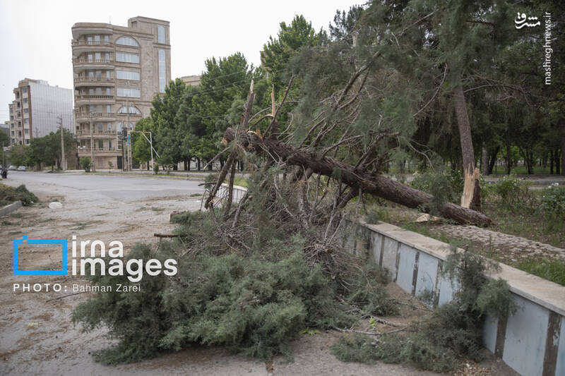 عکس/ ریزگردها و باد شدید در کرمانشاه