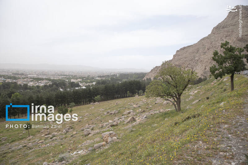 عکس/ ریزگردها و باد شدید در کرمانشاه