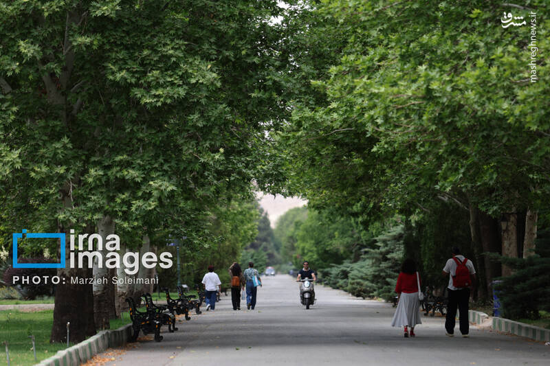 عکس/ باغ گیاه‌شناسی ملی ایران