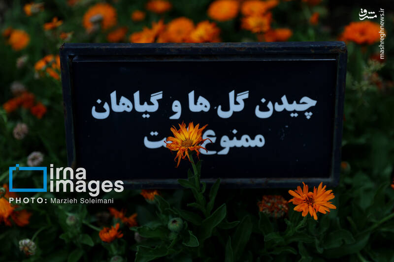 عکس/ باغ گیاه‌شناسی ملی ایران