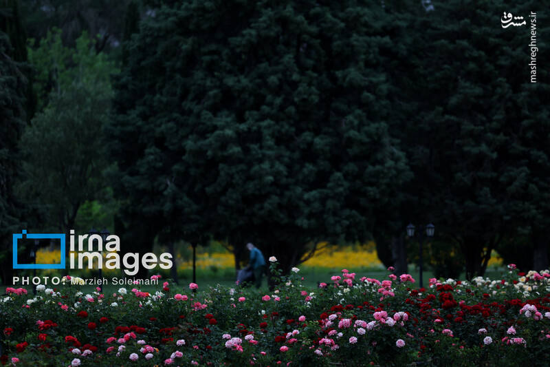 عکس/ باغ گیاه‌شناسی ملی ایران