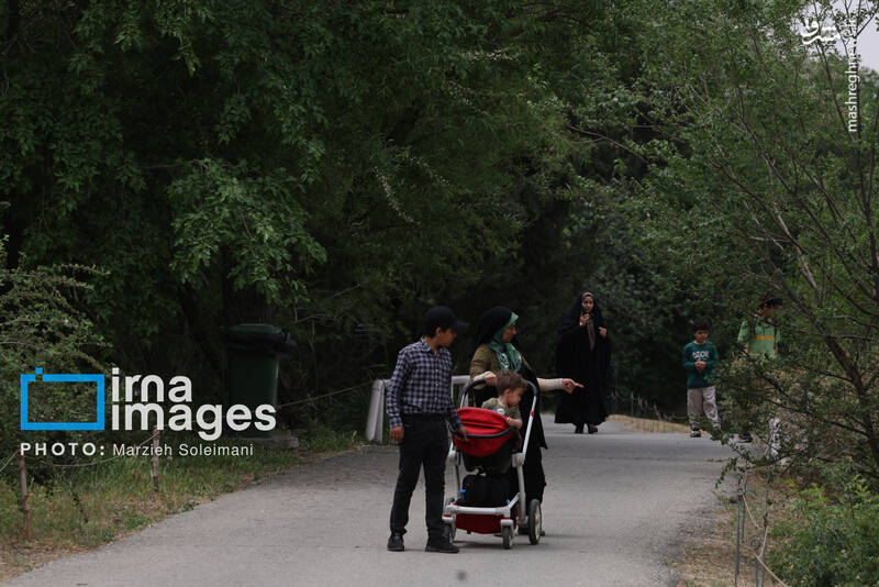 عکس/ باغ گیاه‌شناسی ملی ایران