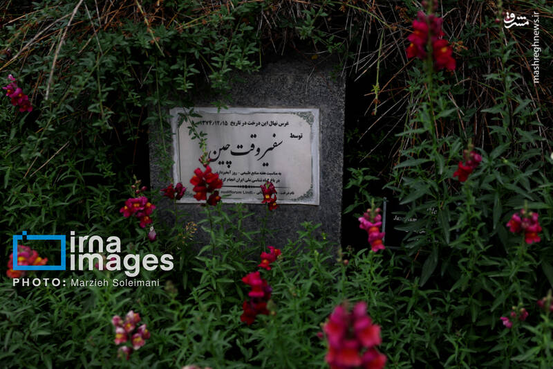 عکس/ باغ گیاه‌شناسی ملی ایران