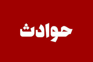 اقدام به موقع پلیس جیرفت جان کودک ۸ ساله را از مرگ نجات داد