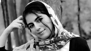 ناگفته‌های قاضی شهریاری از پرونده قتل الهه حسین‌نژاد