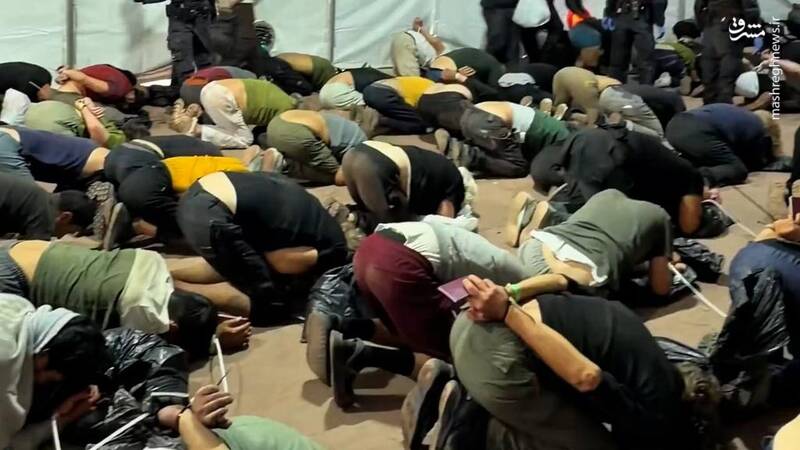 سكوت،رژيم،رفتارهاي،اسرائيل،مصونيت،تحقير،كاروان،غزه،فعالان