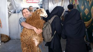 قیمت دام زنده اعلام شد
