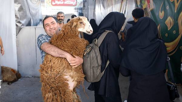 ميادين،عيد،دام،قيمت،قربان،ميوه،كالاهاي،تأمين،عرضه،اساسي،شهرد ...