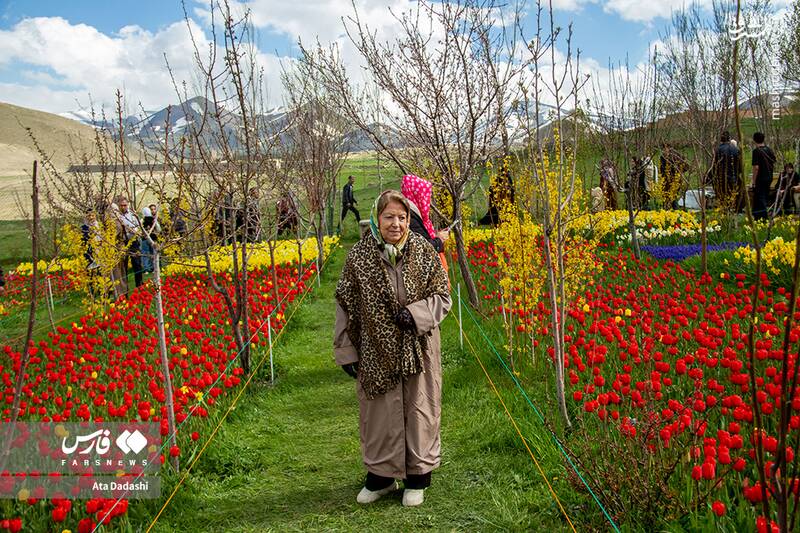 عکس/ مزرعه لاله در روستای "اسپره خون" تبریز