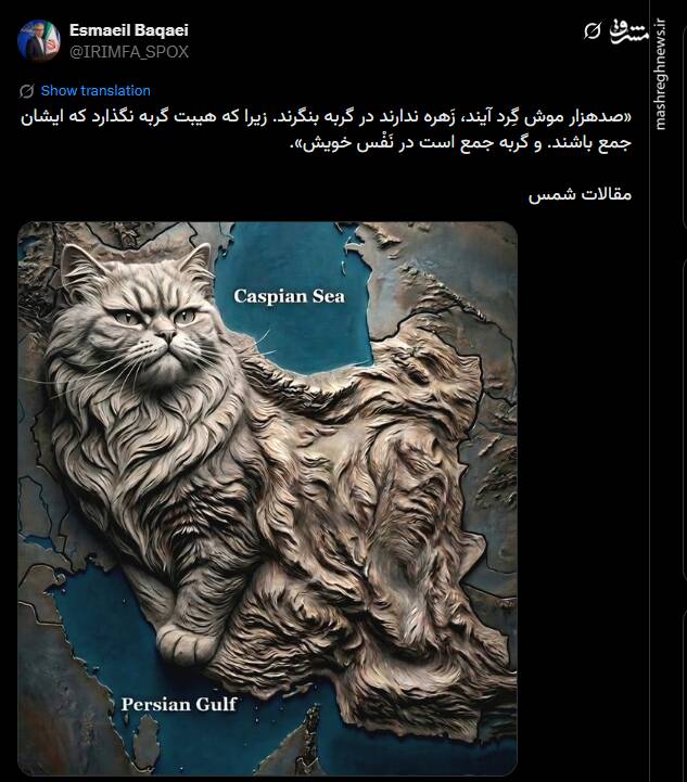 صدهزار موش گِرد آیند، زَهره ندارند در گربه بنگرند