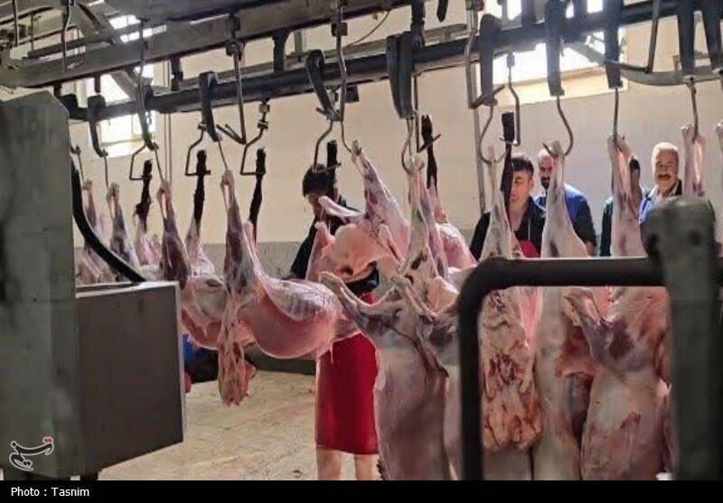 بهداشتي،ذبح،شرعي،دام،گوشت،تماس،كشور،دامپزشكي،قرباني،سلامت،رع ...