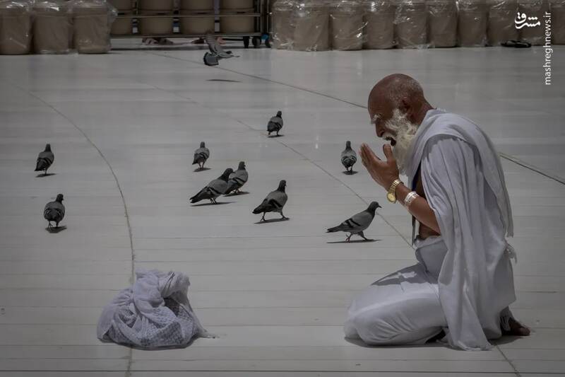 حج،حضور