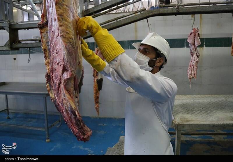 گوشت،دام،ذبح،دامپزشكي،سلامت،خريد،مراكز،يخچال،تب،نكنيد،ويروس، ...