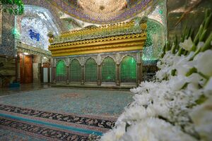 عکس/ گل‌آرایی ضریح امیرالمومنین در دهه ولایت