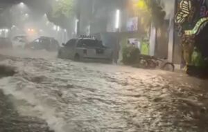 فیلم/ سیل و بارش شدید تگرگ در مکزیکوسیتی