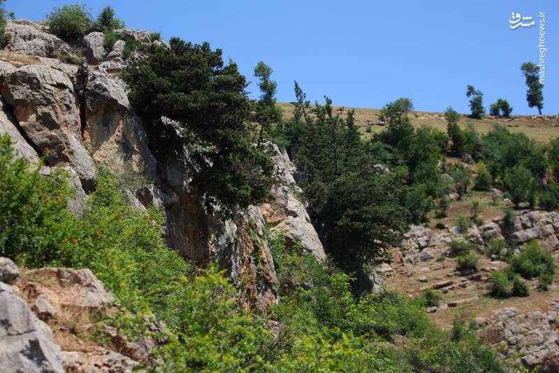 عکس/ غار دربند رشی
